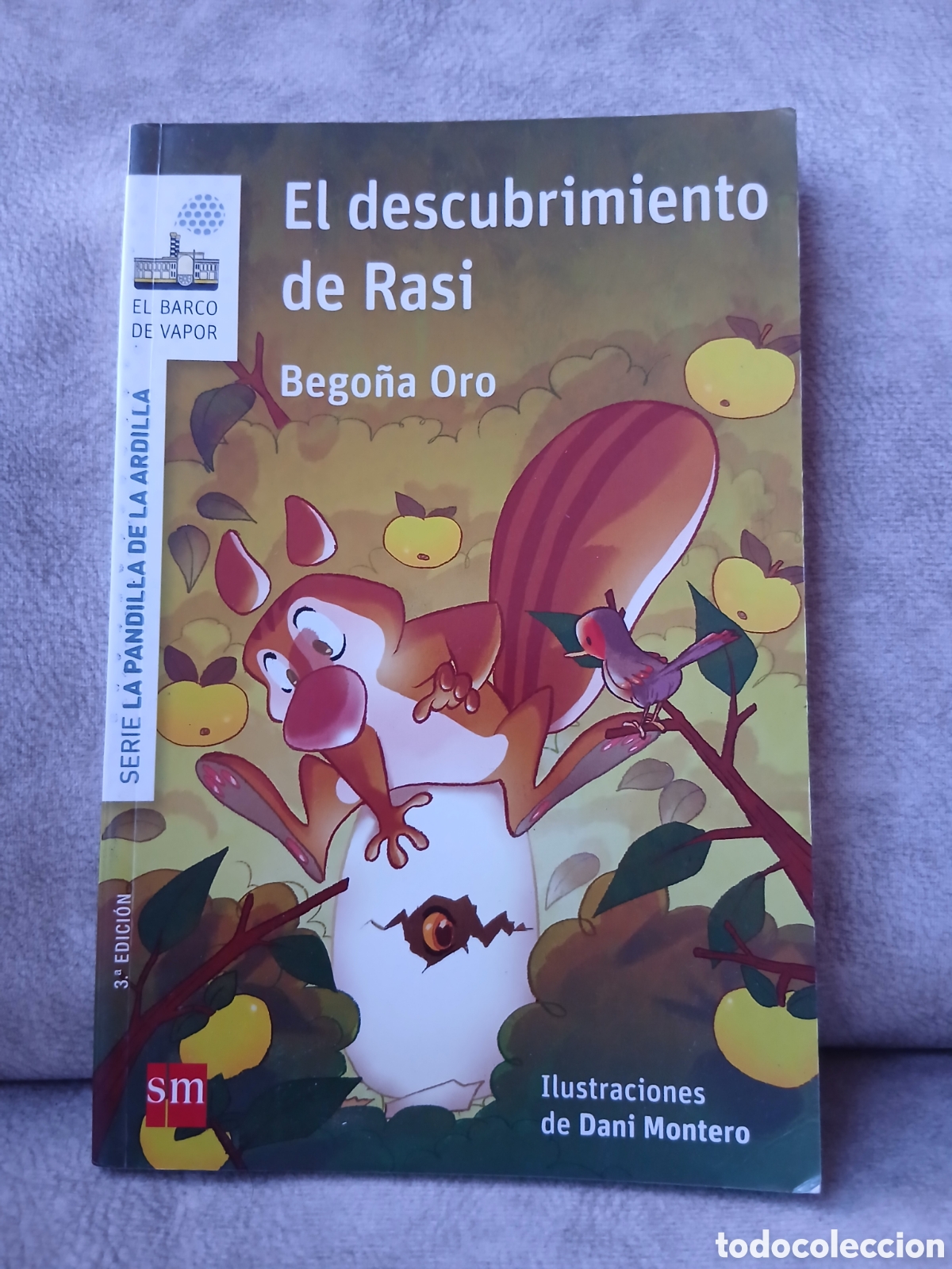 Libros de segunda mano: Libro El Descubrimiento de Rasi -Bego&ntilde;a Oro- Ed. SM El Barco de Vapor