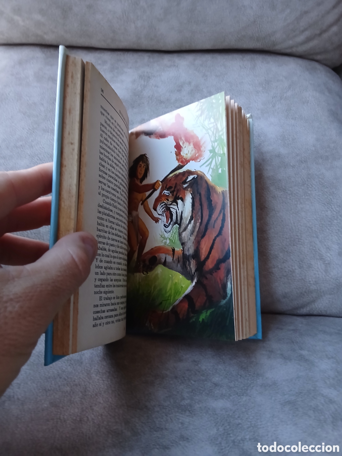 Libros de segunda mano: Libro El Libro de la Selva -Rudyard Kipling- Iberlibro - Foto 5
