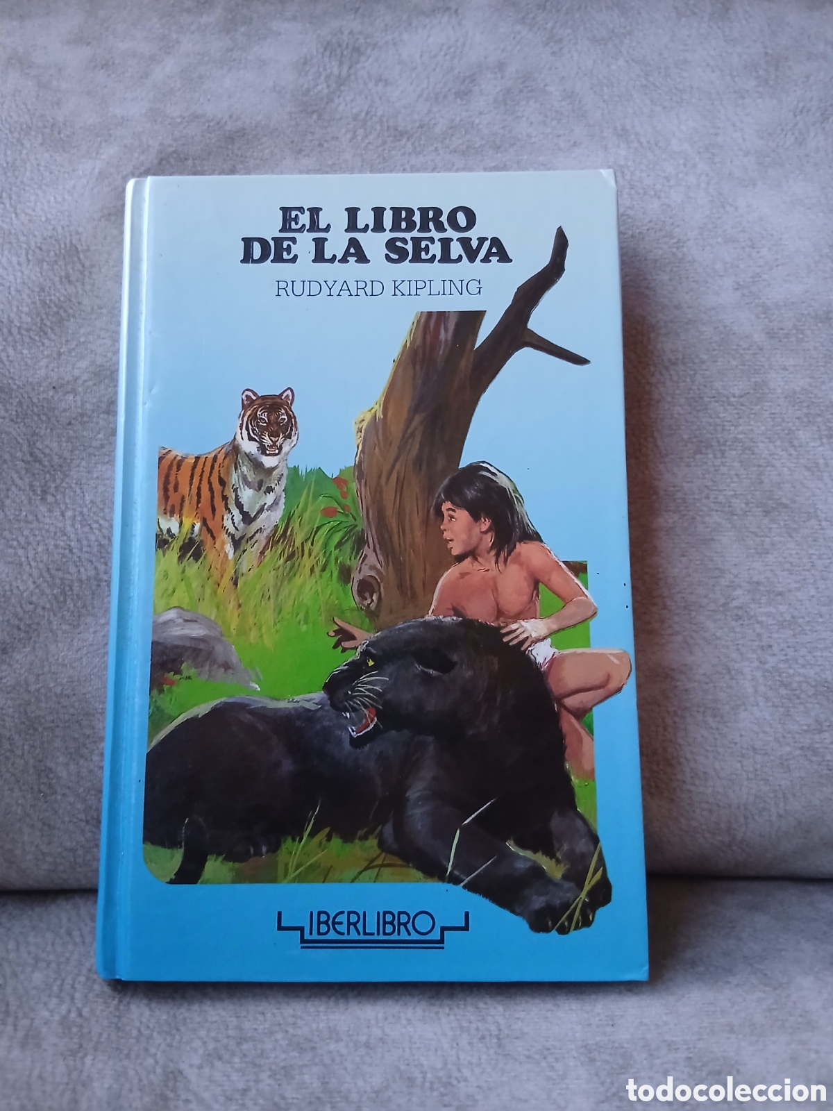 Libros de segunda mano: Libro El Libro de la Selva -Rudyard Kipling- Iberlibro
