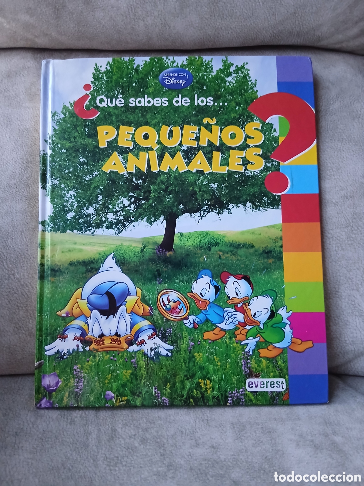 Libros de segunda mano: Libro &iquest;Qu&eacute; sabes de los... peque&ntilde;os animales? -Disney- Ed. Everest