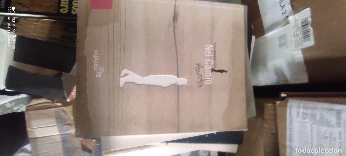 Libros de segunda mano: Nel Cam&iacute;n. Cajastur.