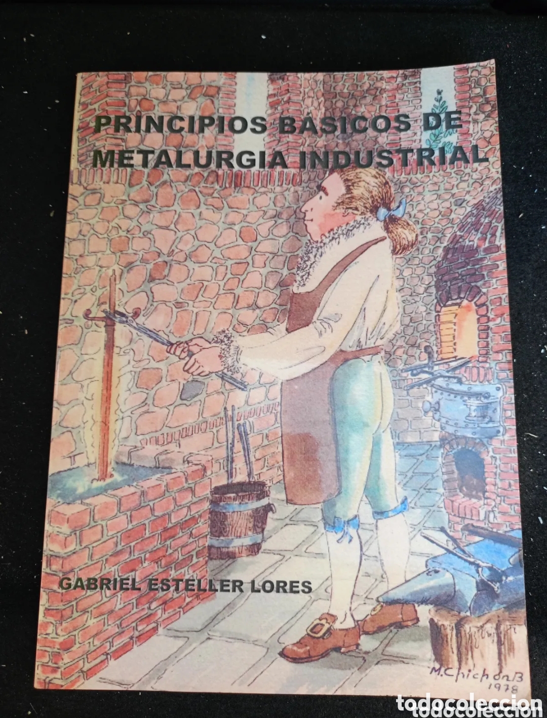 Livres d'occasion: Principios b&aacute;sicos de metalurgia industrial