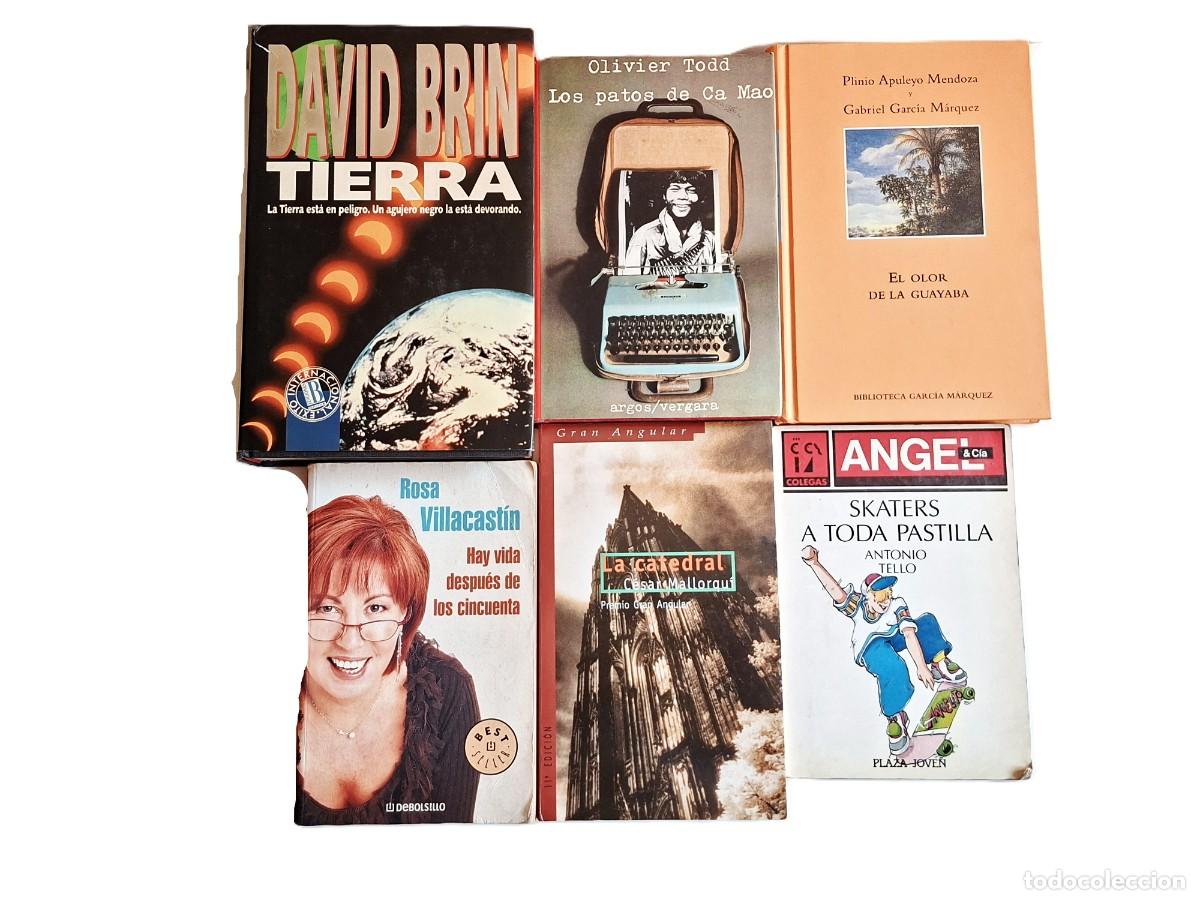 Libros de segunda mano: LOTE 5 -LIBROS VARIOS - Foto 1