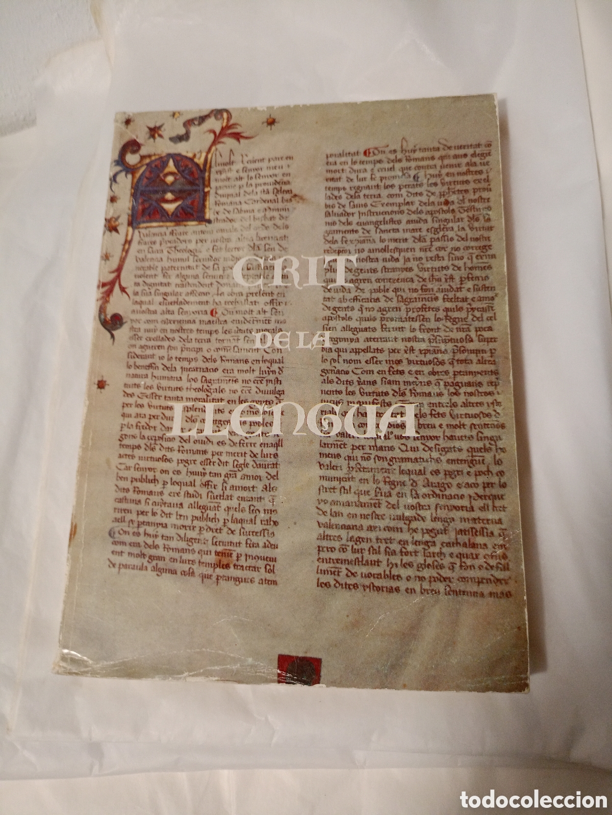 Libros de segunda mano: CRIT DE LA LLENGUA. TESTIMONIS