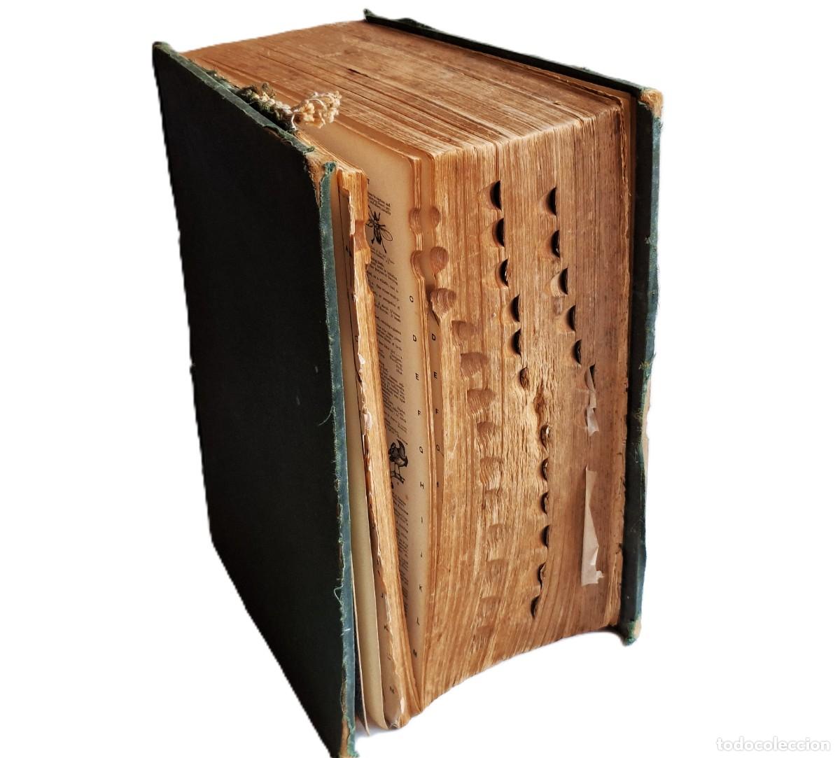 Gebrauchte B&uuml;cher: GIGANTESCO LIBRO ENCICLOPEDIA DE CASI 10 KILOS DE PESO