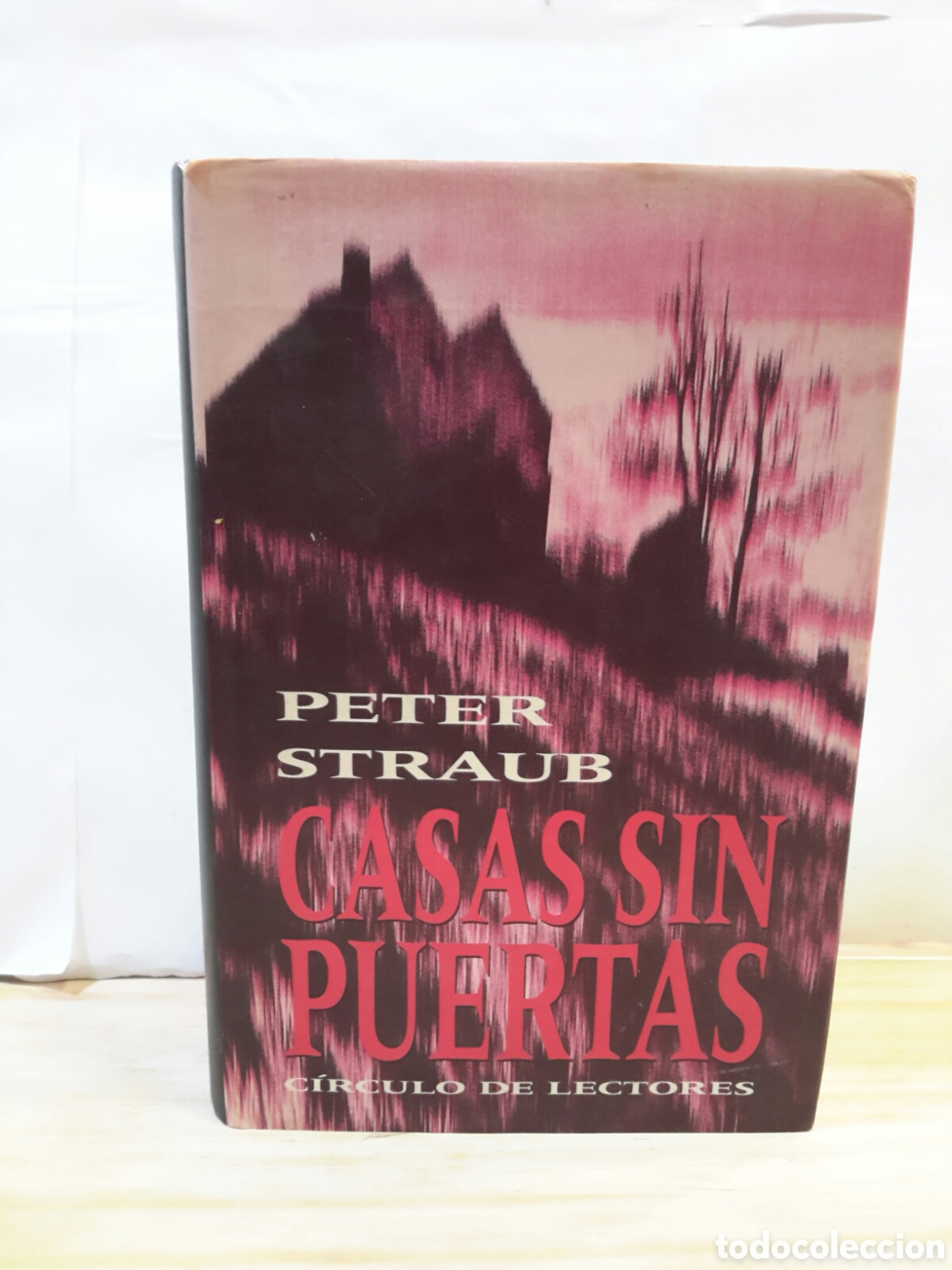 Libros de segunda mano: Casas sin puertas peter straub