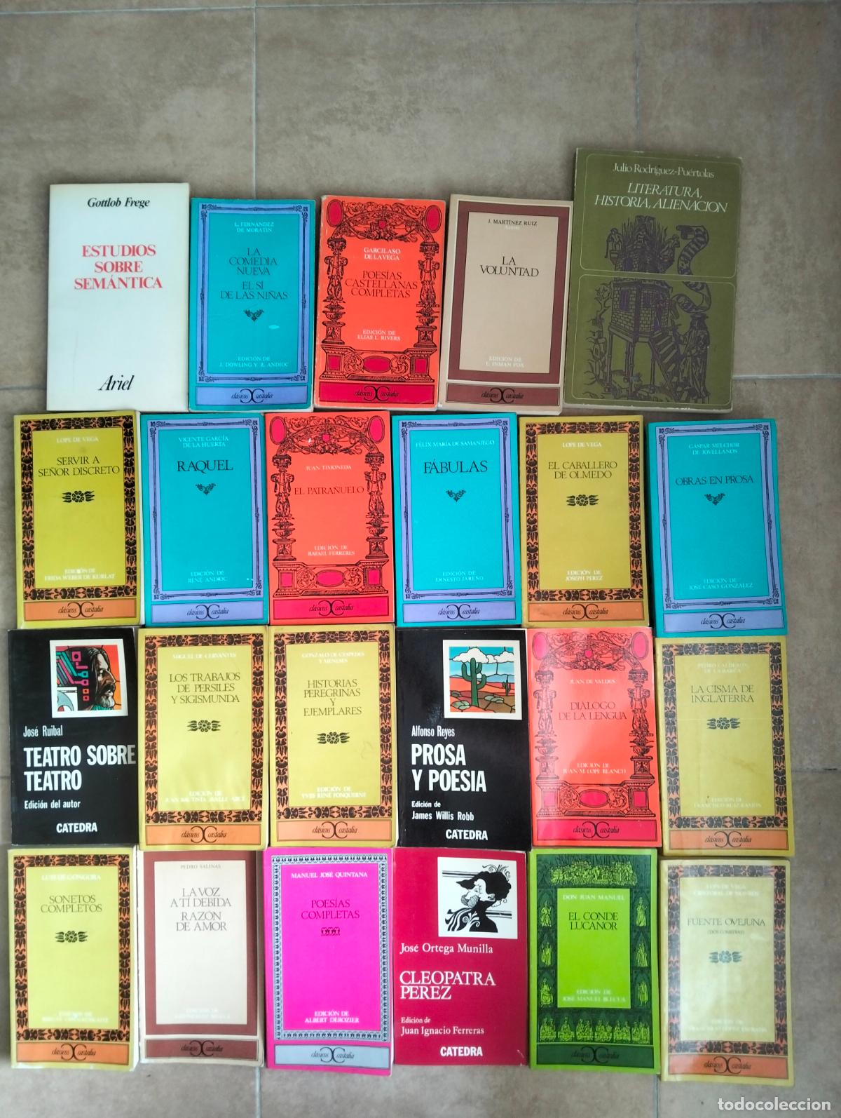 Libros de segunda mano: Literatura. Lote de libros. Los de las fotos. Buen estado. Envio 8&euro; a la peninsula. VISITA CATALOGO