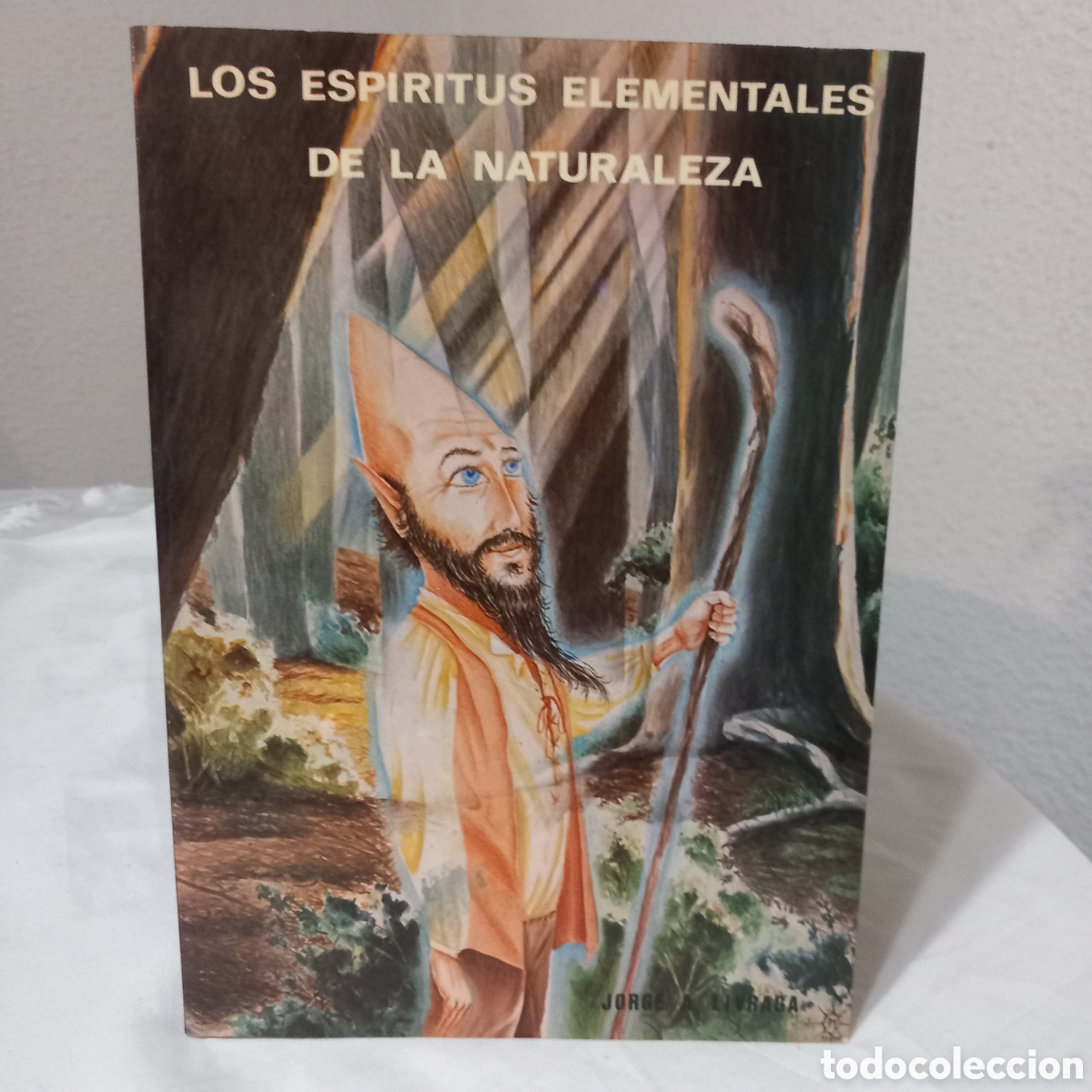 Libros de segunda mano: LOS ESPIRITUS ELEMENTALES DE LA NATURALEZA (JORGE ANGEL LIVRAGA RIZZI)
