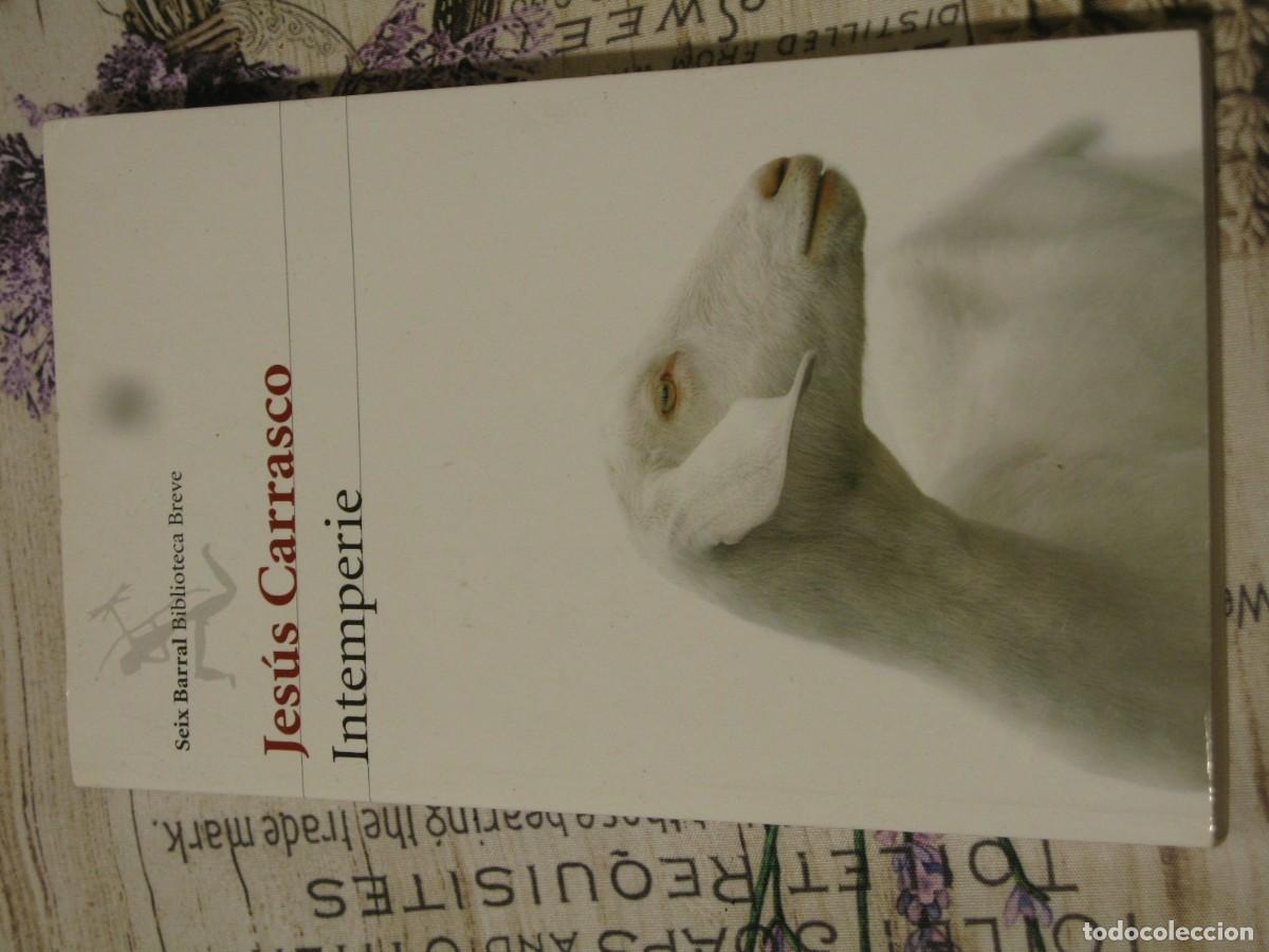 Libros de segunda mano: INTEMPERIE -- JESUS CARRASCO --