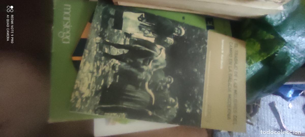 Libros de segunda mano: El trabajo de las mujeres en el campo en la Galicia moderna