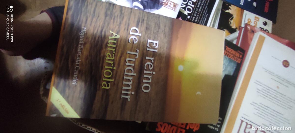 Libros de segunda mano: EL REINO DE TUDMIR . AURARIOLA - MIGUEL BARCALA CANDE