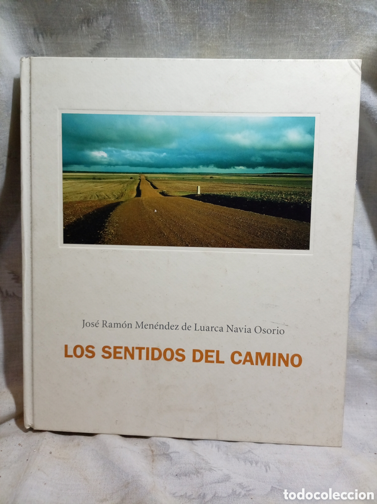Gebrauchte B&uuml;cher: LOS SENTIDOS DEL CAMINO, JOS&Eacute; RAM&Oacute;N MEN&Eacute;NDEZ, INECO