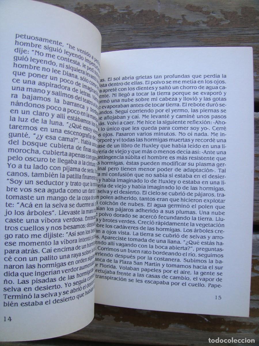 Libros de segunda mano: Ricardo Colautti: IMAGINETA. Primera edicion - Foto 3