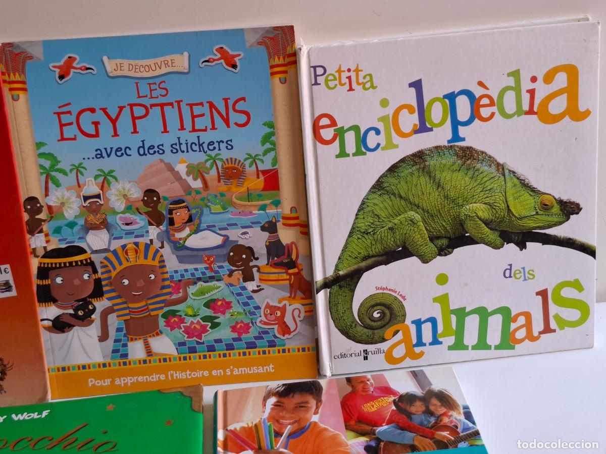 Libros de segunda mano: 5 LIBROS JUVENILES VARIOS - Foto 3