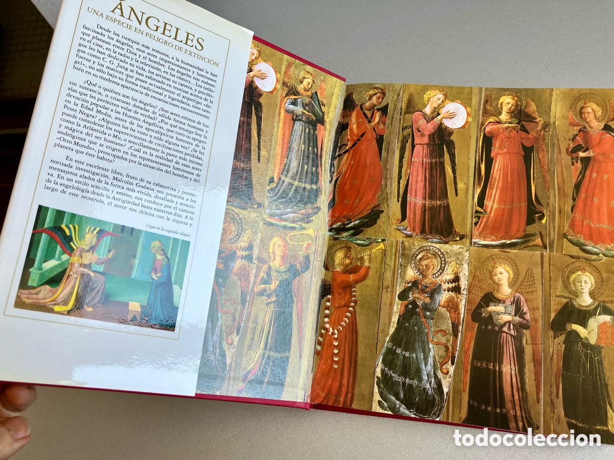 Libros de segunda mano: Angeles - Malcolm Godwin - Robin Book 1991 - Impecable - Foto 3