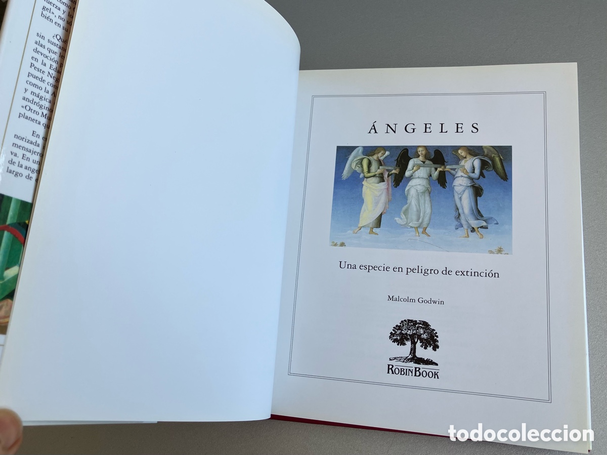Libros de segunda mano: Angeles - Malcolm Godwin - Robin Book 1991 - Impecable - Foto 4
