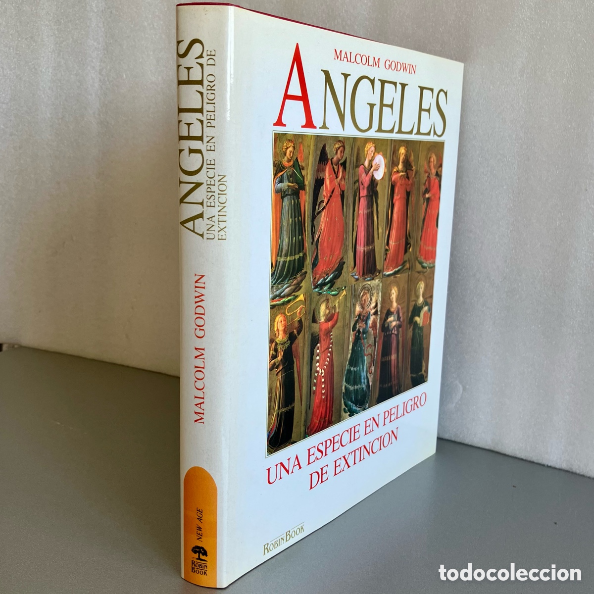 Libros de segunda mano: Angeles - Malcolm Godwin - Robin Book 1991 - Impecable - Foto 1