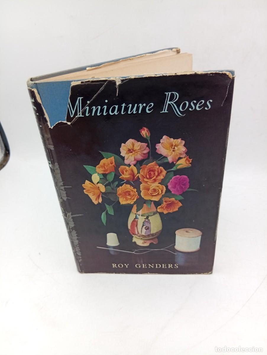 Libros de segunda mano: MINIATURE ROSES. ROY GENDERS. BLANDFORD PRESS, LONDON. 1960. PAGS : 104.