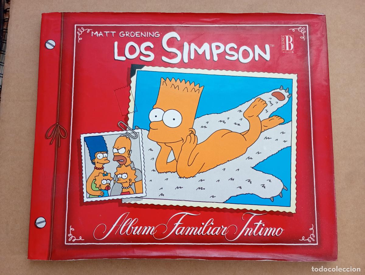 Libros de segunda mano: LOS SIMPSON - ALBUM FAMILIAR INTIMO - MATT GROENING