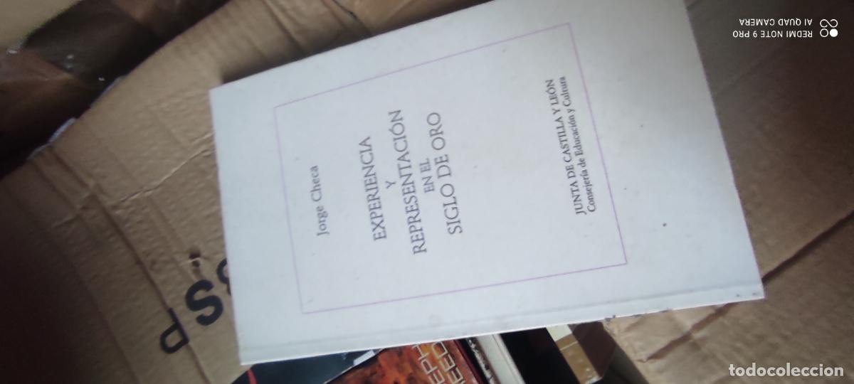 Libros de segunda mano: EXPERIENCIA Y REPRESENTACI&Oacute;N EN EL SIGLO DE ORO - Jorge Checa