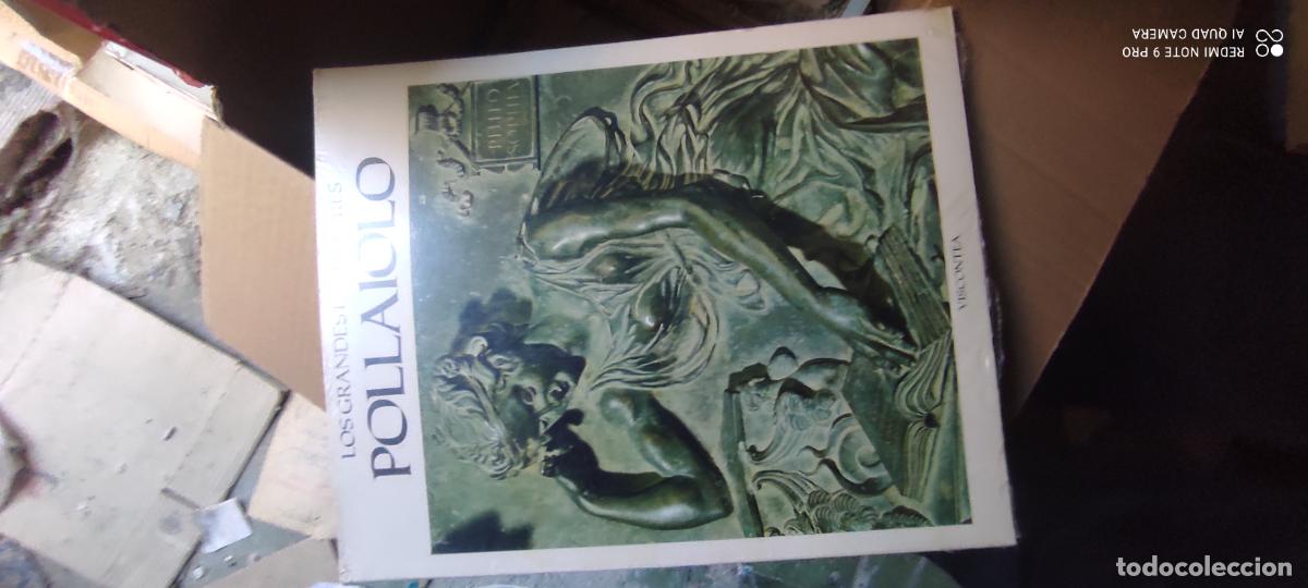 Libros de segunda mano: Los Grandes escultores: Pollaiolo - varios