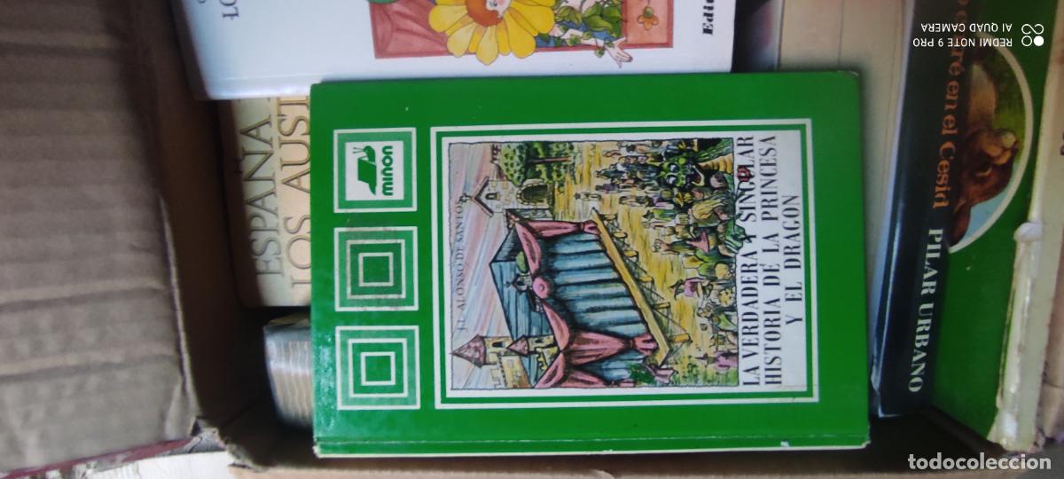 Libros de segunda mano: LA VERDADERA Y SINGULAR HISTORIA DE LA PRINCESA Y EL DRAG&Oacute;N - ED.MI&Ntilde;ON N&ordm; 32