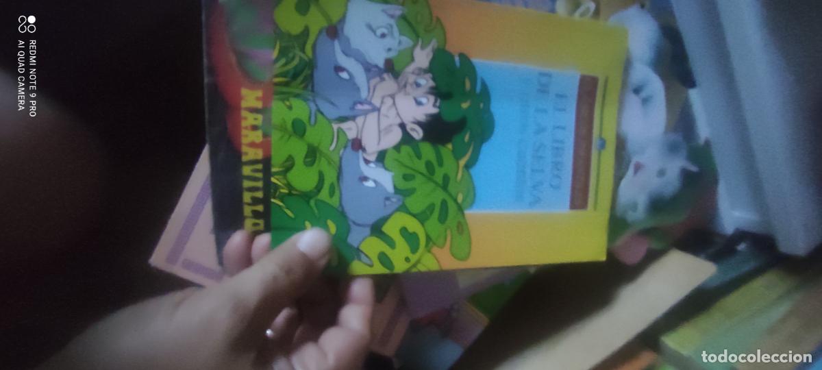 Libros de segunda mano: El libro de la selva