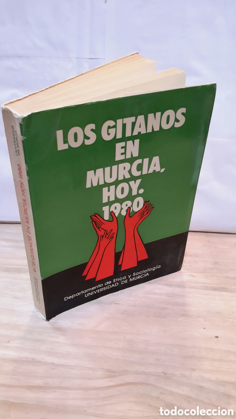 Libros de segunda mano: Los gitanos en murcia hoy 1980