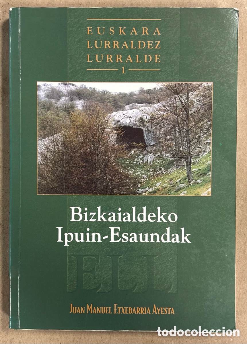 Libros de segunda mano: BIZKAIALDEKO IPUIN-ESAUNDAK. JUAN MANUEL ETXEBARRIA AYESTA. EUSKARAZ LURRALDEZ LURRALDE I