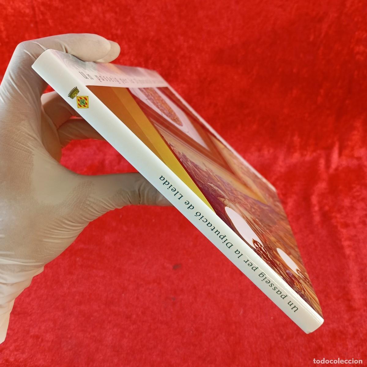 Libros de segunda mano: UN PASSEIG PER LA DIPUTACI&Oacute; DE LLEIDA - 2001 / 50 - Foto 3