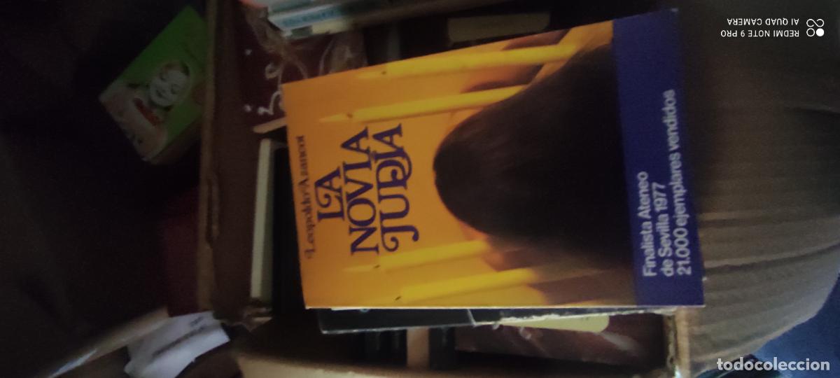 Libros de segunda mano: La novia jud&iacute;a. Libro