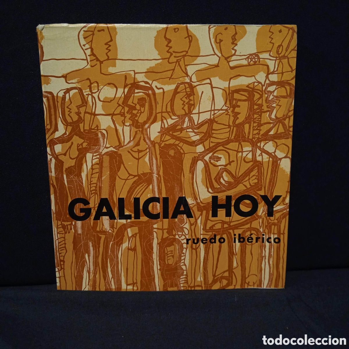 Libros de segunda mano: GALICIA HOY - VVAA - RUEDO IB&Eacute;RICO 1966 #9707