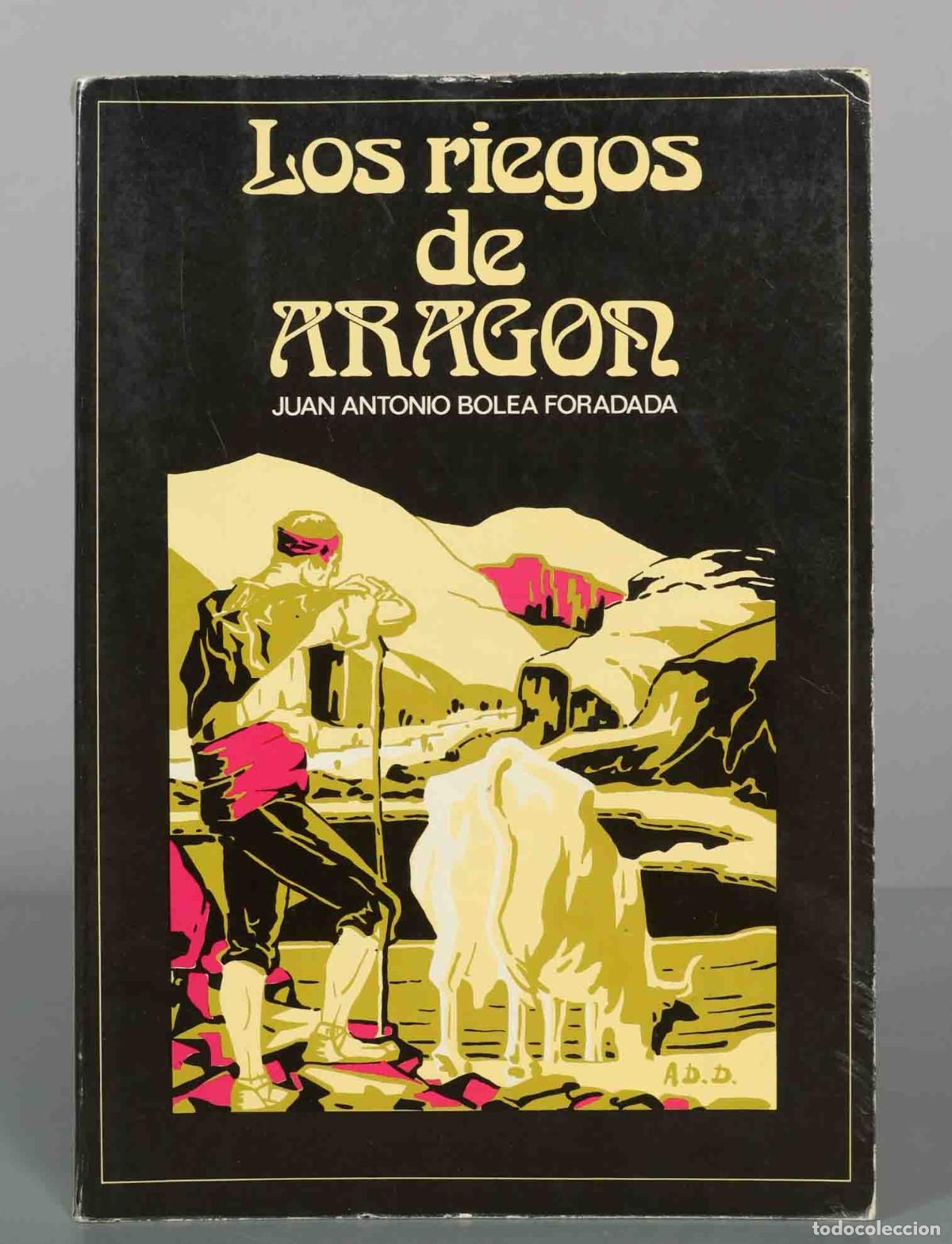 Libros de segunda mano: Los riegos de Arag&oacute;n - Juan Antonio Bolea Foradada - PAR
