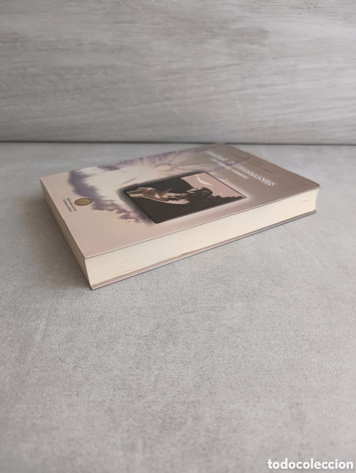 Libros de segunda mano: HADAS Y CHAMANES. LOS OR&Iacute;GENES C&Oacute;SMICOS. AGUST&Iacute;N E. DELGADO OREA. - Foto 10
