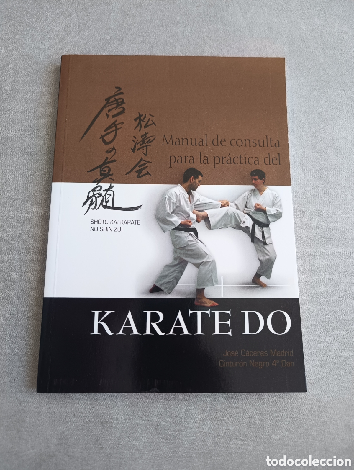 Libros de segunda mano: Manual de consulta para la pr&aacute;ctica del Karate-Do. Jos&eacute; C&aacute;ceres Madrid.