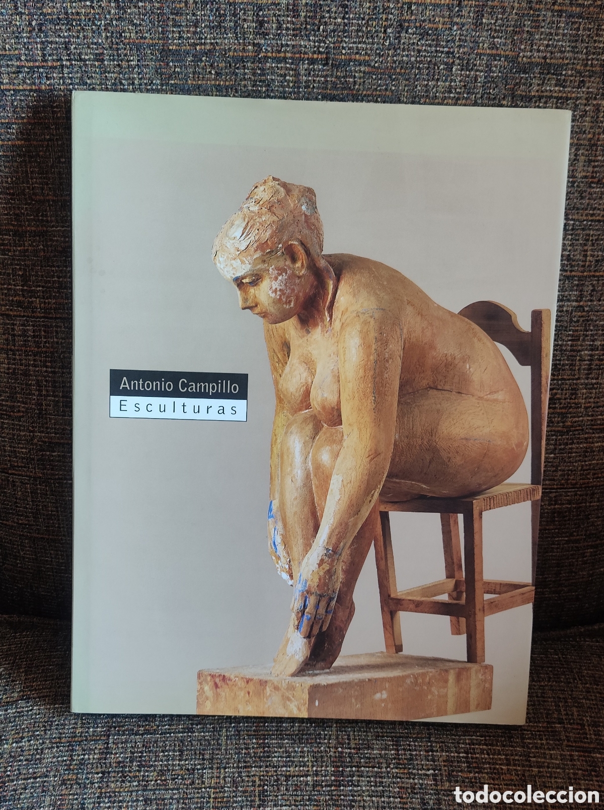 Libros de segunda mano: Antonio Campillo , Esculturas
