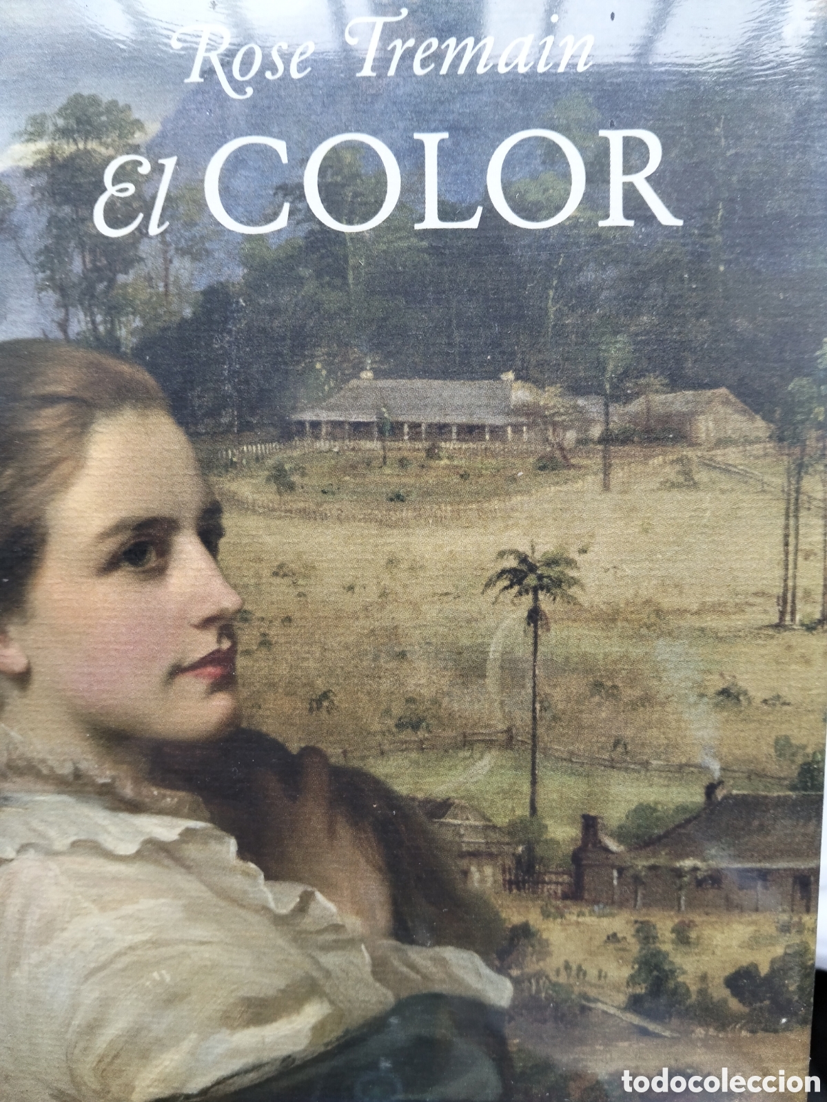 Libros de segunda mano: EL COLOR ROSE TREMAIN PRECINTADO - Foto 1