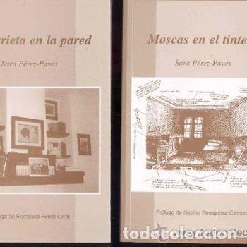 Libros de segunda mano: Una Grieta en la Pared Moscas en el Tintero Sara Perez Paves Caja Completa Ferrer Lerin PEIFER