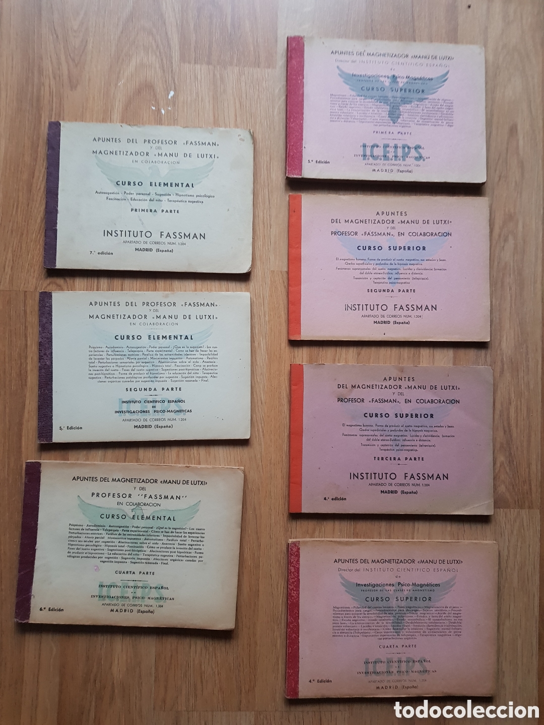 Libros de segunda mano: APUNTES MAGNETIZADOR MANU DE LUTXI Y PROFESOR FASSMAN 7 TOMOS