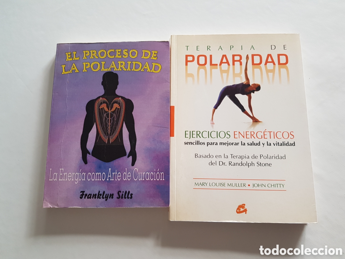 Libros de segunda mano: PROCESO DE LA POLARIDAD - EL. LA ENERGIA COMO ARTE DE CURACION - SILLS, FRANKLYN