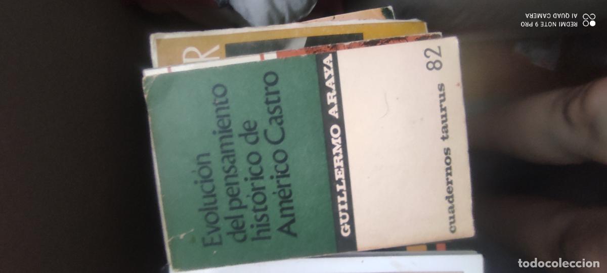 Livres d'occasion: EVOLUCI&Oacute;N DEL PENSAMIENTO HIST&Oacute;RICO DE AM&Eacute;RICO CASTRO. ARAYA