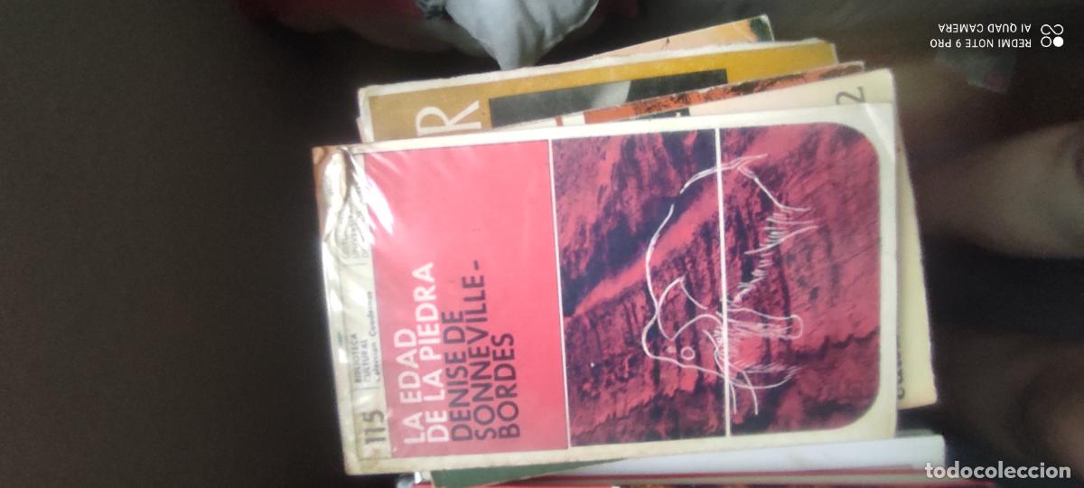 Livres d'occasion: La edad de la piedra. Denise de Sonneville