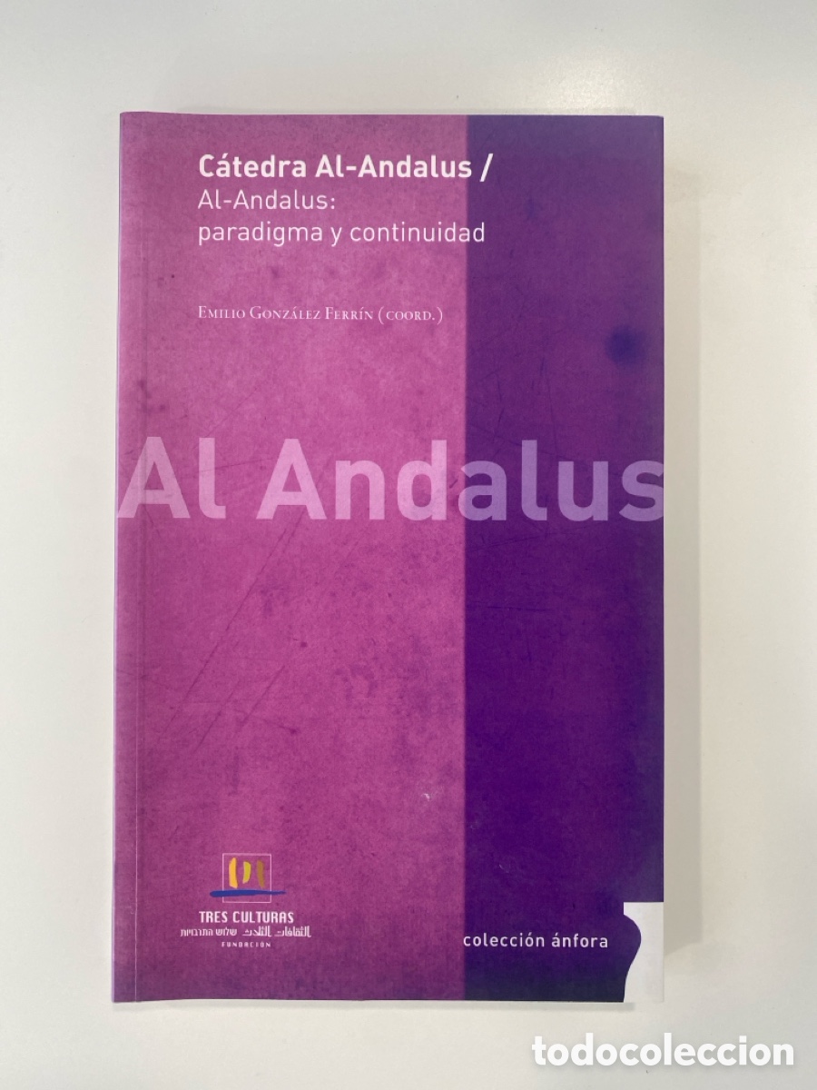 Libri di seconda mano: Al-Andalus, paradigma y continuidad - Emilio Gonz&aacute;lez Ferr&iacute;n (Coord.)