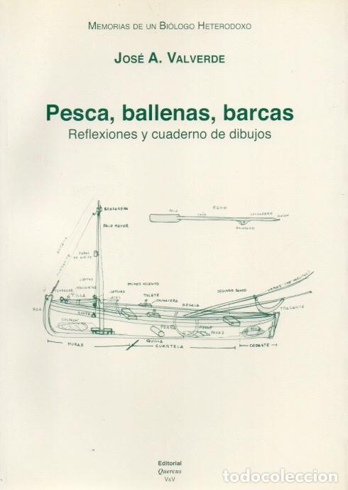 Libros de segunda mano: PESCA, BALLENAS, BARCAS. Reflexiones y cuaderno de dibujos