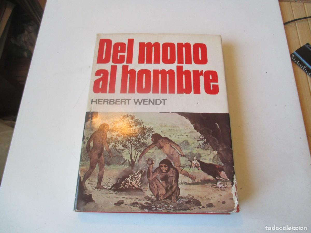 Libros de segunda mano: HERBERT WENDT Del mono al hombre W40979 BIS - Foto 1