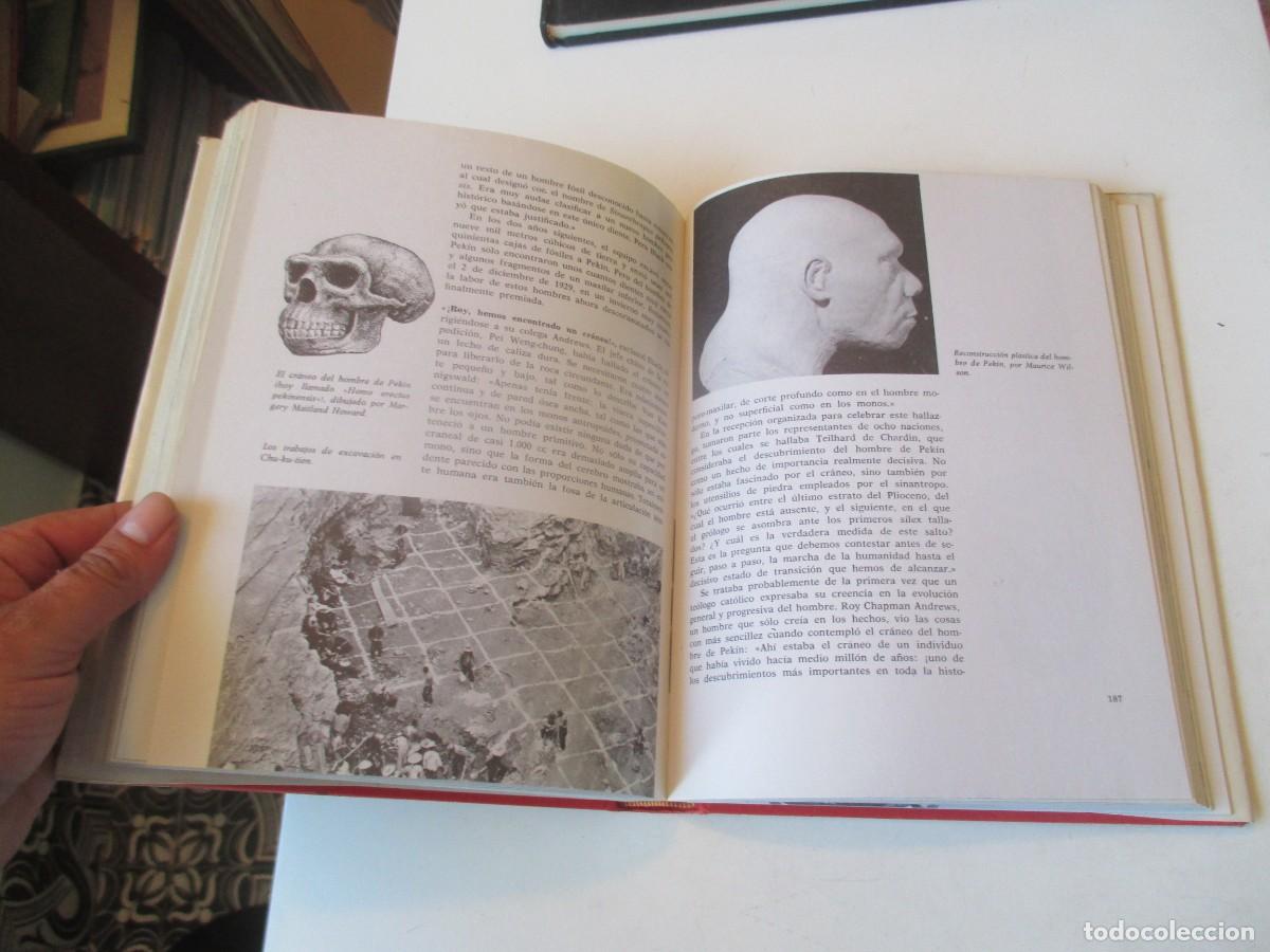 Libros de segunda mano: HERBERT WENDT Del mono al hombre W40979 BIS - Foto 2