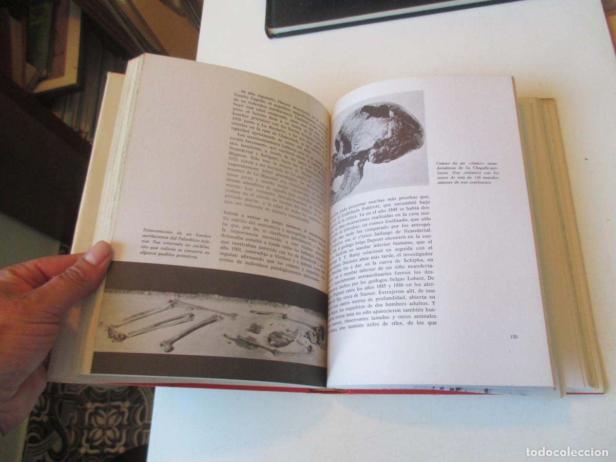 Libros de segunda mano: HERBERT WENDT Del mono al hombre W40979 BIS - Foto 3