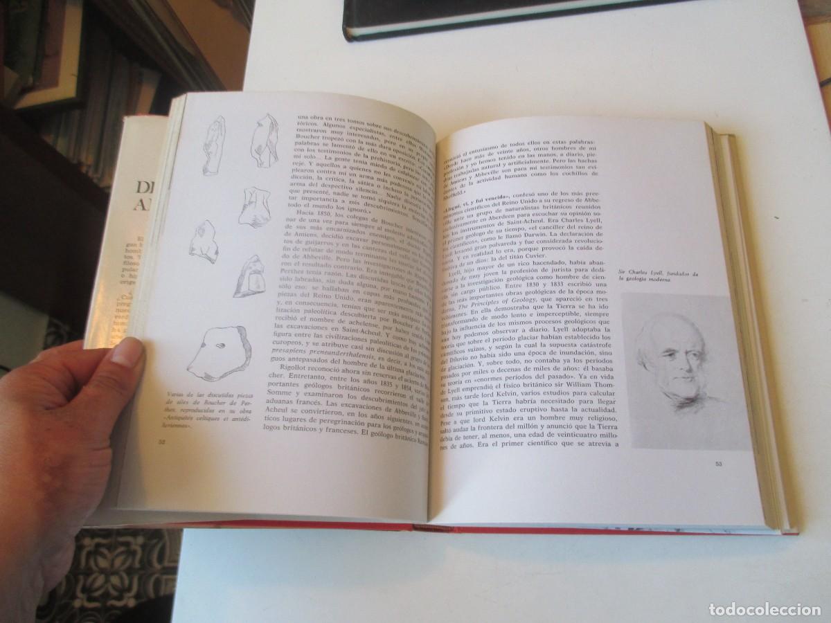 Libros de segunda mano: HERBERT WENDT Del mono al hombre W40979 BIS - Foto 4