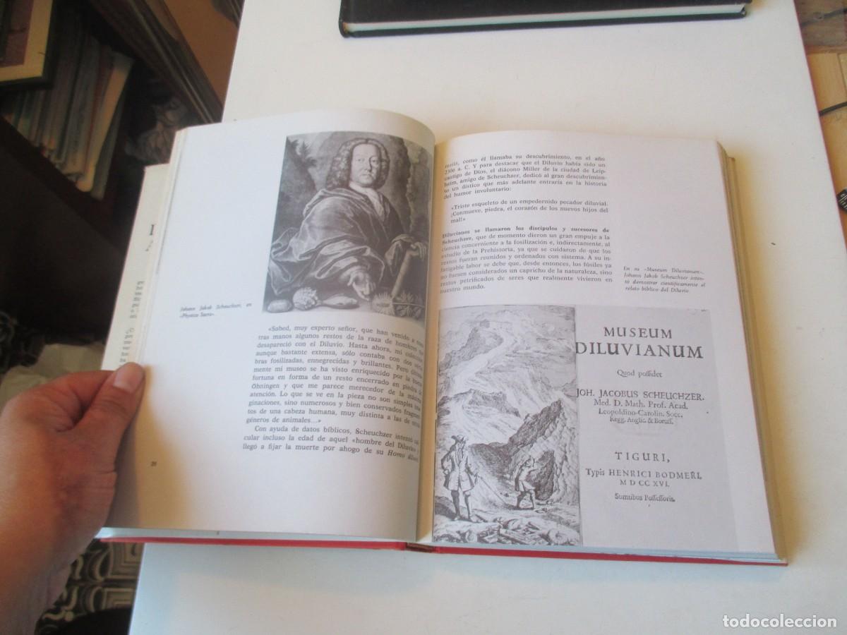 Libros de segunda mano: HERBERT WENDT Del mono al hombre W40979 BIS - Foto 5