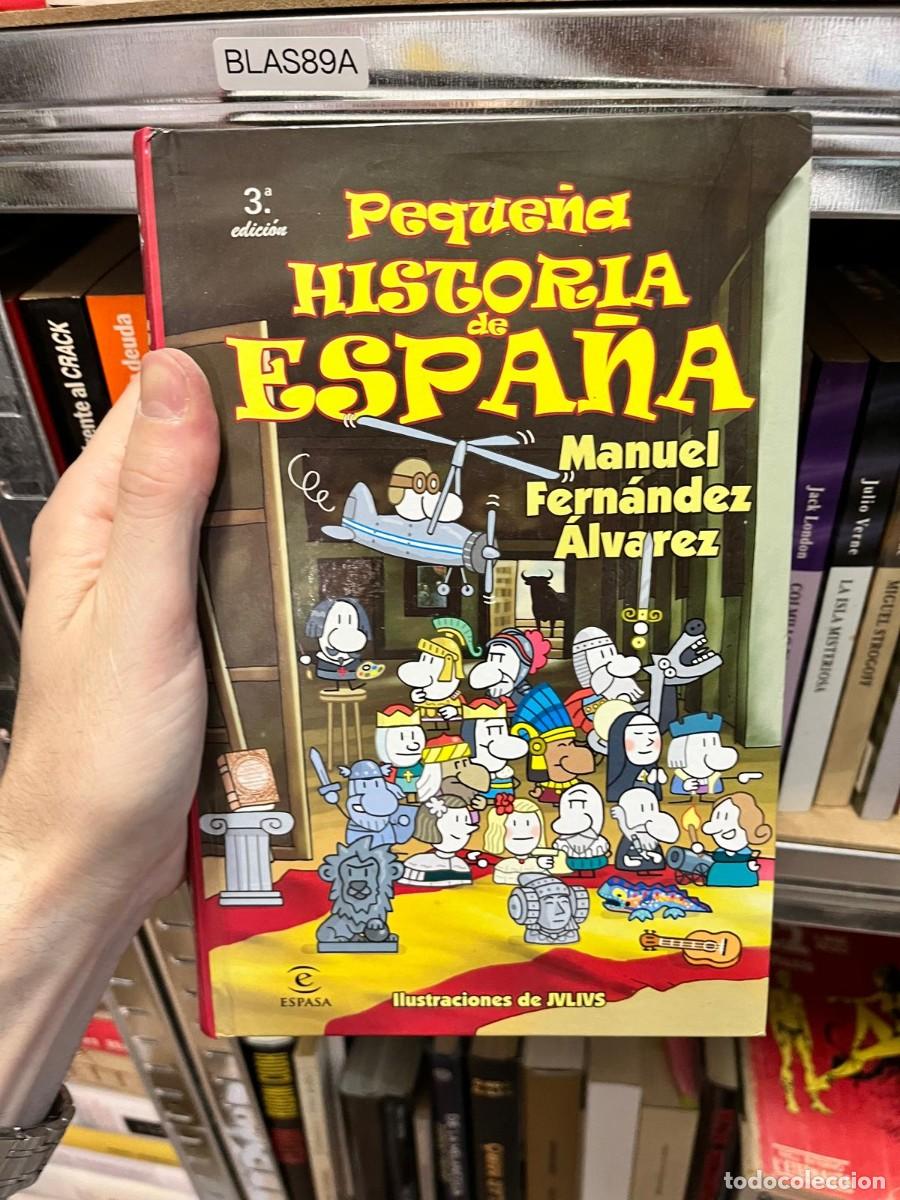 Libros de segunda mano: BLAS89A - Peque&ntilde;a historia de Espa&ntilde;a &mdash; Manuel Fern&aacute;ndez &Aacute;lvarez. Espasa.
